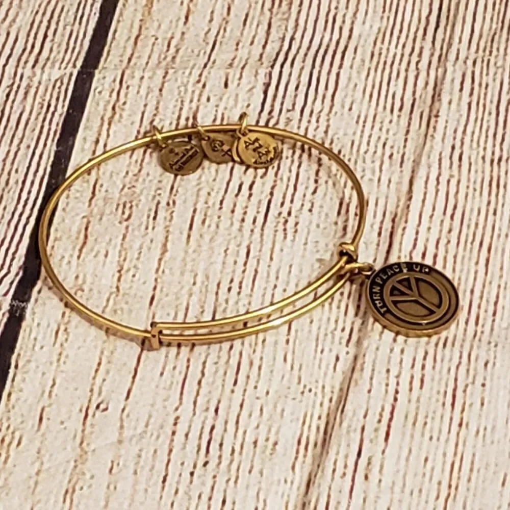 3 for $25 Alex and Ani Turn Peace Up Adjustable Bangle